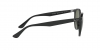 RB4305F Sunglasses