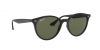 RB4305F Sunglasses