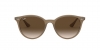RB4305F Sunglasses
