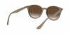 RB4305F Sunglasses