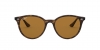 RB4305F Sunglasses