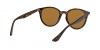 RB4305F Sunglasses