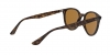RB4305F Sunglasses