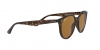RB4305F Sunglasses