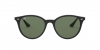 RB4305 Sunglasses