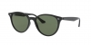 RB4305 Sunglasses