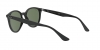 RB4305 Sunglasses