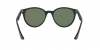 RB4305 Sunglasses