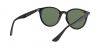 RB4305 Sunglasses