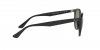 RB4305 Sunglasses
