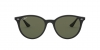 RB4305 Sunglasses