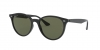RB4305 Sunglasses