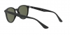 RB4305 Sunglasses
