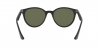 RB4305 Sunglasses