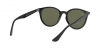 RB4305 Sunglasses