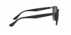 RB4305 Sunglasses