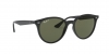 RB4305 Sunglasses