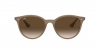 RB4305 Sunglasses