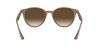 RB4305 Sunglasses
