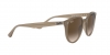 RB4305 Sunglasses