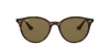 RB4305 Sunglasses