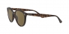 RB4305 Sunglasses