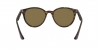 RB4305 Sunglasses