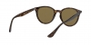 RB4305 Sunglasses