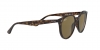 RB4305 Sunglasses
