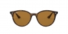 RB4305 Sunglasses