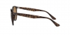 RB4305 Sunglasses