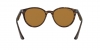 RB4305 Sunglasses