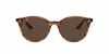 RB4305 Sunglasses
