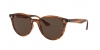 RB4305 Sunglasses