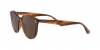 RB4305 Sunglasses