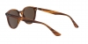 RB4305 Sunglasses