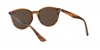 RB4305 Sunglasses