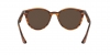 RB4305 Sunglasses