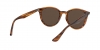 RB4305 Sunglasses