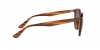 RB4305 Sunglasses