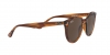 RB4305 Sunglasses