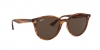 RB4305 Sunglasses