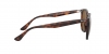 RB4306F Sunglasses