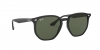 RB4306F Sunglasses