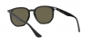 RB4306L Sunglasses