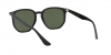 RB4306 Sunglasses