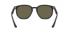 RB4306 Sunglasses