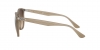RB4306 Sunglasses