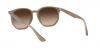 RB4306 Sunglasses