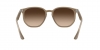 RB4306 Sunglasses